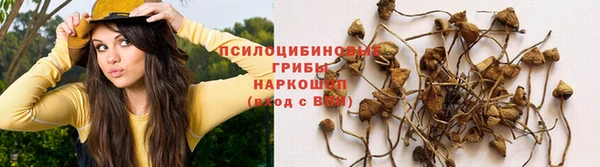 герыч Бородино