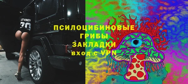 герыч Бородино