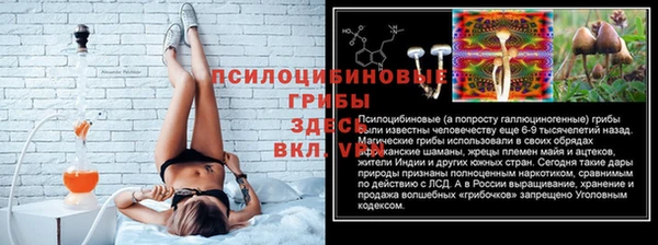 ГАЛЛЮЦИНОГЕННЫЕ ГРИБЫ Бугульма